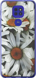 

Чохол Ромашки v2 на Motorola G9 Play 1624461