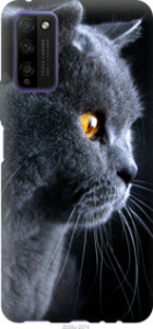 Чехол Красивый кот для Huawei Honor 30 Lite