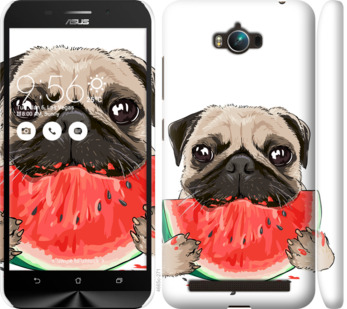 

Чехол Мопс и арбуз для Asus ZenFone Max ZC550KL 843958