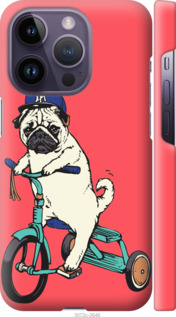 

Чехол Мопс на велосипеде для iPhone 14 Pro 1481732