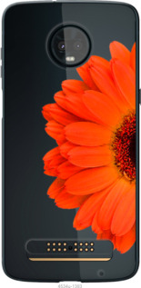 

Чехол Гербера 1 для Motorola Moto Z3 1589615