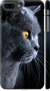 

Чехол Красивый кот для iPhone 8 plus (5.5") 116848