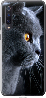 

Чехол Красивый кот для Xiaomi Mi9 700851
