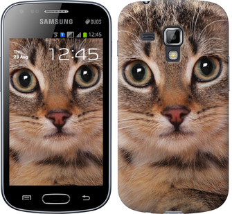 

Чохол Смугастий котик на Samsung Galaxy S Duos s7562 175514