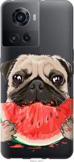 

Чохол Мопс і кавун на OnePlus 10R 1427353
