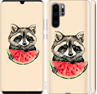

Чохол Єнотик з кавуном на Huawei P30 Pro 799946