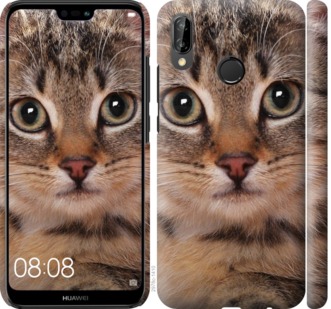 

Чехол Полосатый котик для Huawei P20 Lite 694163