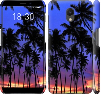 

Чехол Пальмы для Meizu M6s 759160