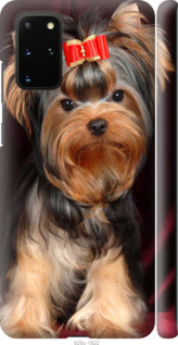 

Чехол Йоркширский терьер для Samsung Galaxy S20 Plus 1008742