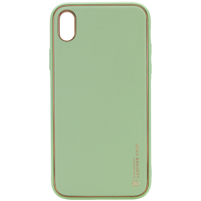 Кожаный чехол Xshield для Apple iPhone X / XS (5.8") (Зеленый / Pistachio)