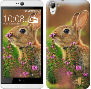 

Чехол Кролик и цветы для HTC Desire 826 dual sim 149933