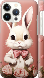 

Чохол Зайчик на iPhone 13 Pro 1650482