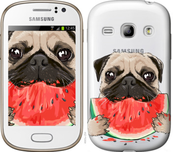 

Чохол Мопс і кавун на Samsung Galaxy Fame S6810 843511