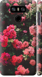

Чехол Куст с розами для LG G6 H870DS 669828