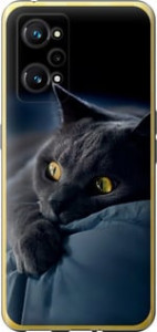 Чохол Димчастий кіт на Realme GT Neo 3T
