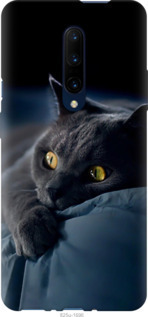 Чохол Димчастий кіт на OnePlus 7 Pro