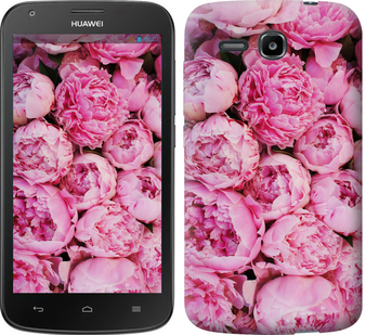 

Чехол Пионы v3 для Huawei Ascend Y600 380965