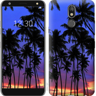 

Чехол Пальмы для LG K40 790152