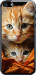 Чехол Котики 2 для iPhone 5s