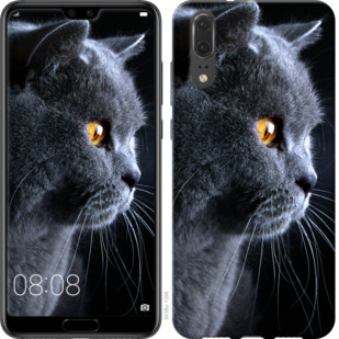 

Чохол Гарний кіт на Vivo V17 Neo 776221