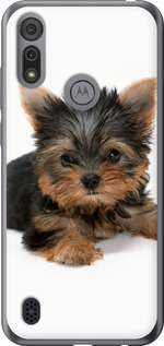 

Чехол Щенок йоркширского терьера для Motorola E6i 1612396