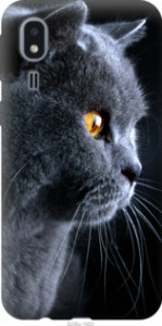 Чехол Красивый кот для Samsung Galaxy A2 Core A260F
