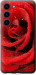Чехол Красная роза для Samsung Galaxy S23