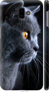 Чехол Красивый кот для Samsung Galaxy J6 Plus 2018