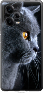 

Чохол Гарний кіт на Xiaomi Redmi Note 12 Pro 5G 1558457