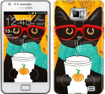

Чехол Осенний кот для Samsung Galaxy S2 i9100 580827