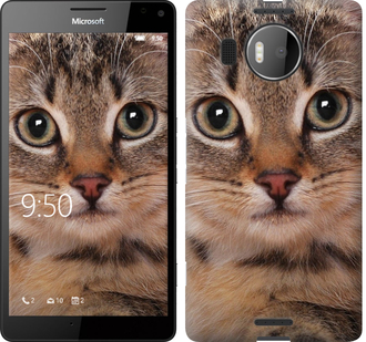 

Чохол Смугастий котик на Microsoft Lumia 950 XL Dual Sim 175869