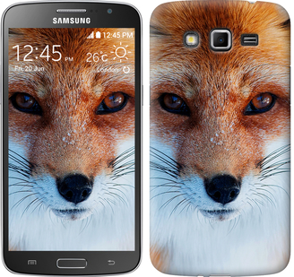 

Чехол Рыжая лисица для Samsung Galaxy Grand 2 G7102 78552