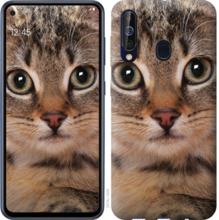 

Чохол Смугастий котик на Samsung Galaxy A60 2019 A606F 742404