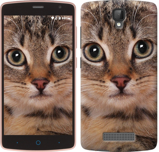 

Чохол Смугастий котик на ZTE L5 175906