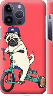 

Чохол Мопс на велосипеді на iPhone 14 Pro Max 1482550