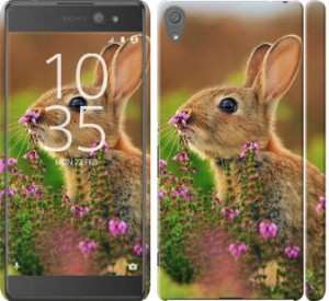Чехол Кролик и цветы для Sony Xperia XA Ultra Dual F3212