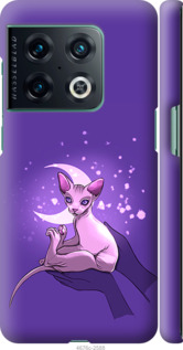 

Чехол Кот2 для OnePlus 10 Pro 1591584