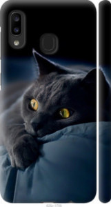 Чехол Дымчатый кот для Samsung Galaxy A20e A202F