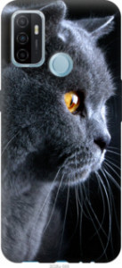 Чехол Красивый кот для Oppo A53