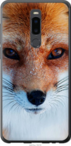 Чехол Рыжая лисица для Meizu Note 8
