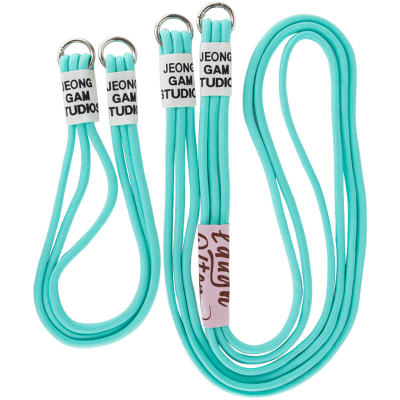 Купити Чохол TPU two straps California на Apple iPhone 11 Pro Max (6.5") (Бірюзовий / Marine Green) на vchehle.ua