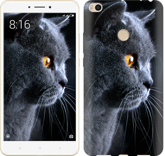 

Чехол Красивый кот для Xiaomi Mi Max 2 626671