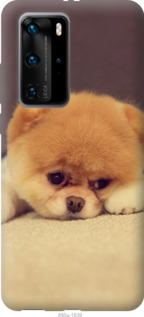 

Чохол Boo 2 на Huawei P40 Pro 948744