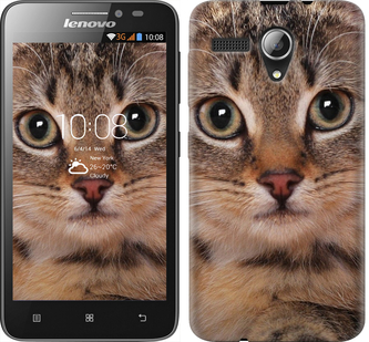 

Чохол Смугастий котик на Lenovo A606 175613