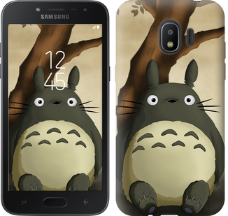 

Чехол Мой сосед Тоторо для Samsung Galaxy J2 2018 654339