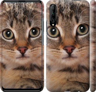 

Чехол Полосатый котик для Huawei P Smart Pro 902539