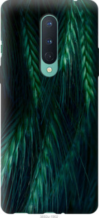

Чехол Колоски для OnePlus 8 942473