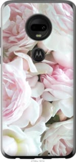 Чехол Пионы v2 для Motorola Moto G7