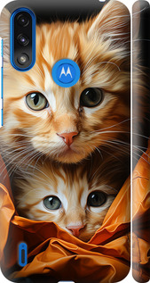 

Чехол Котики 2 для Motorola E7 Power 1647938