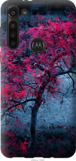 

Чохол Дерево з яскравими листям на Motorola G8 Power 1117407